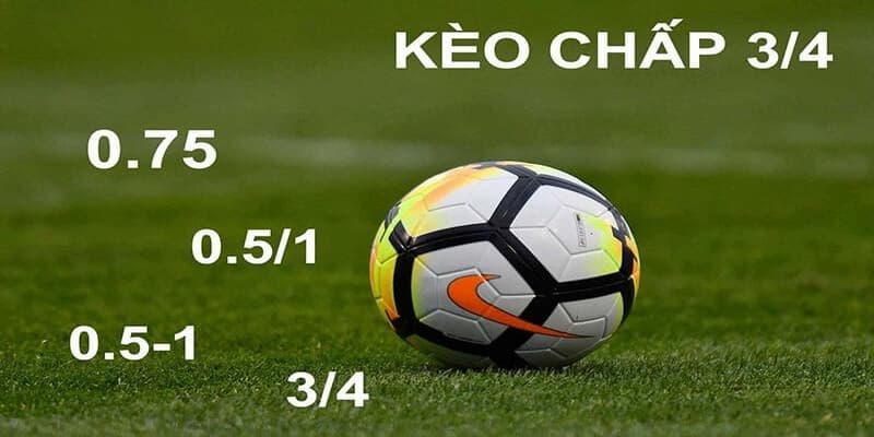 Tỷ lệ kèo chấp Tỷ lệ kèo chấp các loại phổ biến