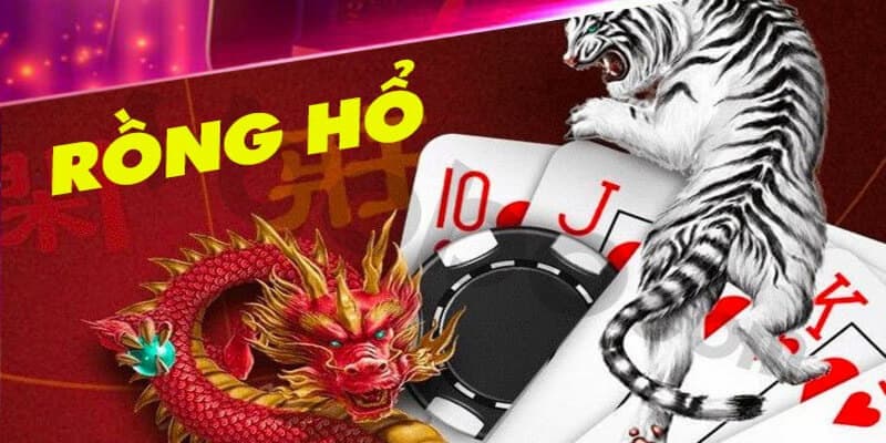 Cách soi cầu rồng hổ Cách soi cầu rồng hổ mẹo nâng cao