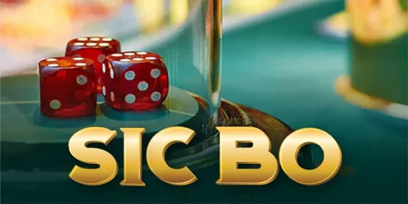 Cách chơi Sicbo hiệu quả và các sai lầm phổ biến