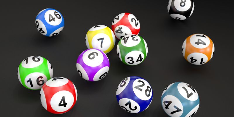 Hướng dẫn bắt đầu chơi Bingo Adventure dễ hiểu 
