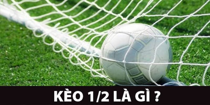 Kèo 1/2 là gì Kèo 1/2 là gì tổng quan giới thiệu