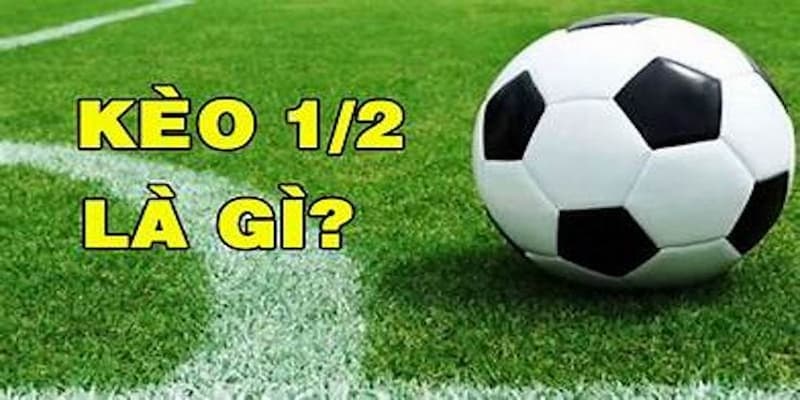 Kèo 1/2 là gì Kèo 1/2 là gì cách đọc chuẩn