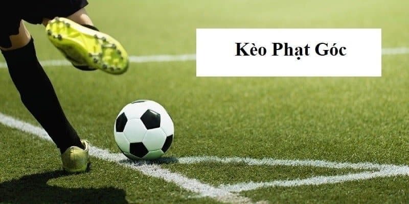 Kèo phạt góc cách đọc chi tiết