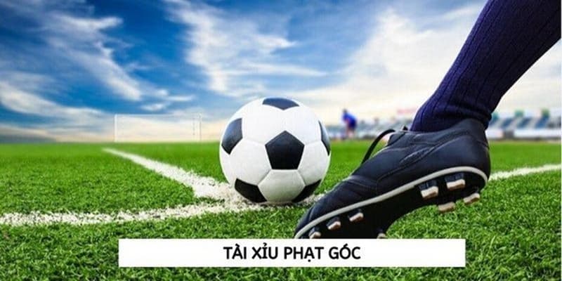 Kèo tài xỉu phạt góc phân loại cơ bản