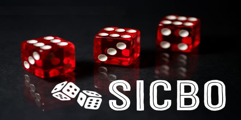 Tool hack sicbo Tool hack sicbo góc nhìn từ chuyên gia